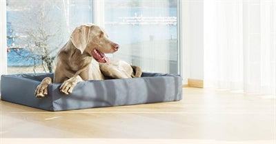 Bia Bed Korb Original Grau