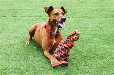 Happy Pet Muttern Für Knoten Extreme Spule 8 Form Tugger Grau/Orange