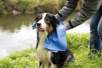 Trixie Hundehandtuch sortiert Größenansicht ausgebreitet