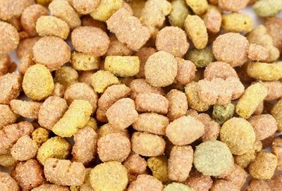 I Am Katzenleckerli Rindfleisch, Katze beim Genießen der Snacks