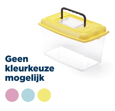 Imac Ariel Aquarium Kunststoff sortierte Designs Draufsicht