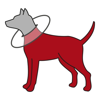 Grauer Trixie Schaumstoff-Schutzkragen Hund – Seitenansicht