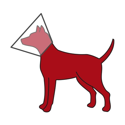Trixie transparenter Hunde-Schutzkragen – Seitenansicht angelegt