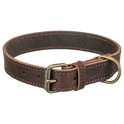 Trixie Hunde-Lederhalsband rustikal dunkelbraun – Hund trägt Halsband