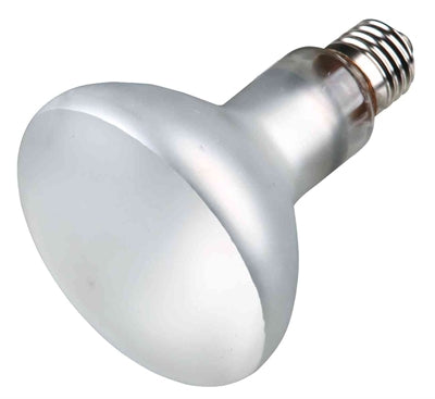 Trixie Reptiland Prosun Mixed D3 Uv-B Lampe Selbststartend