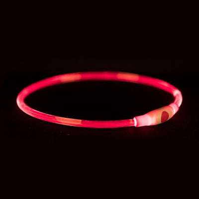 Trixie USB Leuchthalsband Rot – Hund mit beleuchtetem Halsband nachts