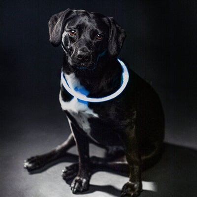 Trixie Hunde-Leuchtkragen Blau TPU – Verpackung mit Produktinformationen