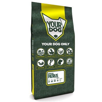 Yourdog Drentsche Rebhuhn Senior