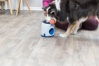 Trixie Hund Aktivität Strategie Spiel Ball & Leckerli Hellgrau / Blau