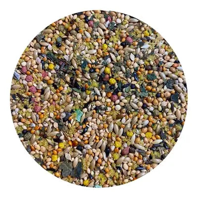 Utopia Tropische Vogels Top Quality