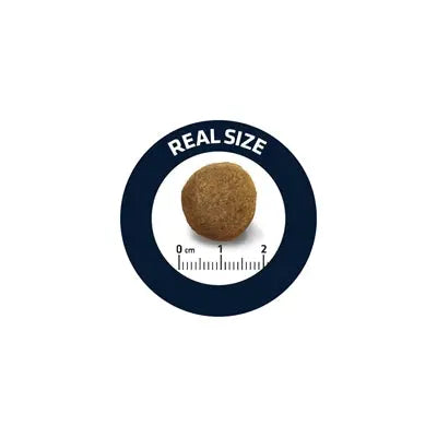 Advance Adult Duitse Herder