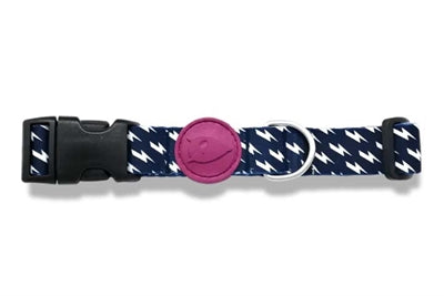 Morso Hundehalsband recycelt Power Flow schwarz Detailansicht Schnalle – Halsband Hund nachhaltig verstellbar robust