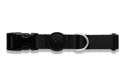 Morso Hundehalsband recycelt Reinheit schwarz Detailansicht Schnalle – Halsband Hund nachhaltig verstellbar robust