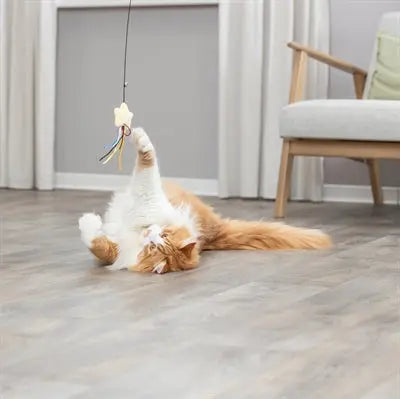 Trixie Kattenhengel Ster Kunststof / Pluche Met Catnip