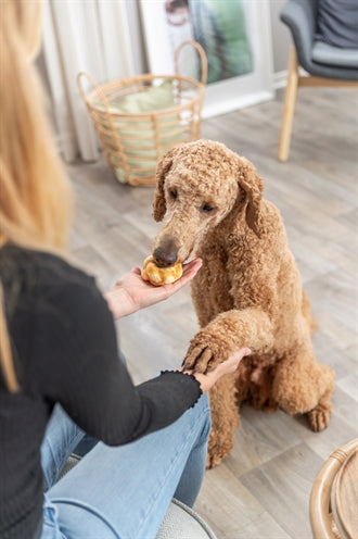 Trixie Collagen Denta Fun Twists Detailansicht – gedrehte Kollagen-Kaustangen Zahnpflege Hund