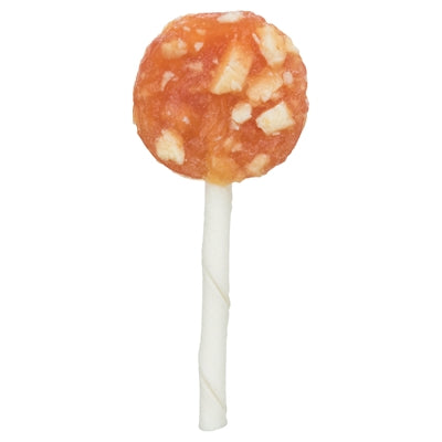 Trixie Denta Fun Chicken Cheese Lolly Detailansicht – Kausnack mit Huhn und Käse für Hunde