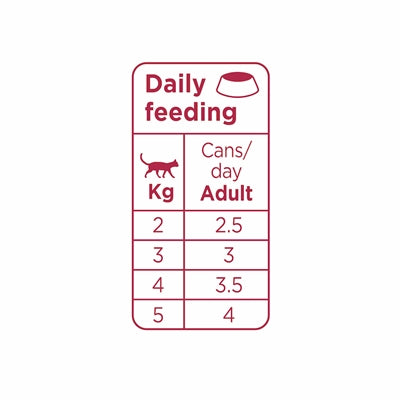 Prins Chunky Pate Chicken / Turkey