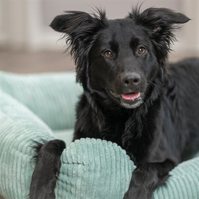 Trixie Hundekorb Jonna Vital salbeigrün Innenpolsterung Detail