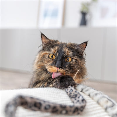 Trixie Katzenspielzeug Stick Panther-Druck komplett mit Verpackung
