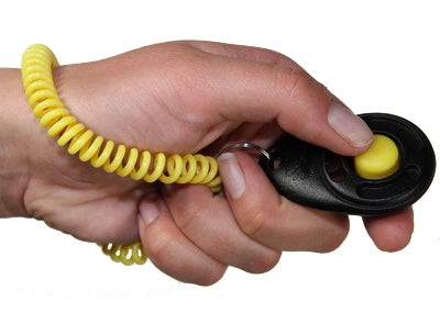 Starmark Clicker De Luxe Für Das Training