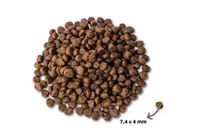 Renske Super Premium Welpen Huhn/Lamm