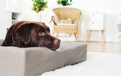 Bia Bett Kunstleder Hundekorb Abdeckung Taupe