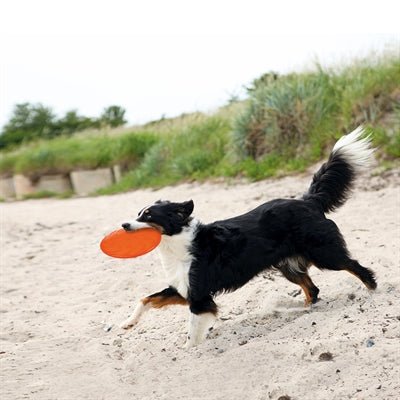 Trixie Gummi-Frisbee Dog 0 Soar Grün