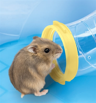 Imac Hamsterkäfig-Fantasie