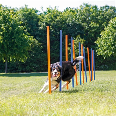 Trixie Hund Aktivität Agilität Slalom Sticks Blau / Orange