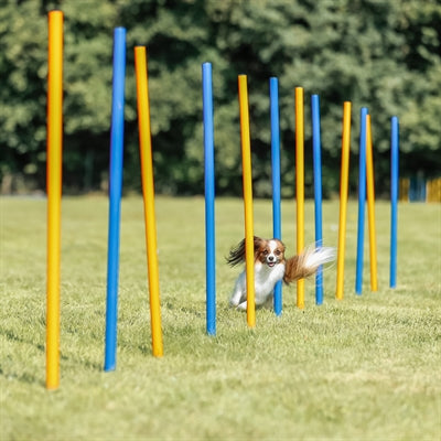 Trixie Hund Aktivität Agilität Slalom Sticks Blau / Orange