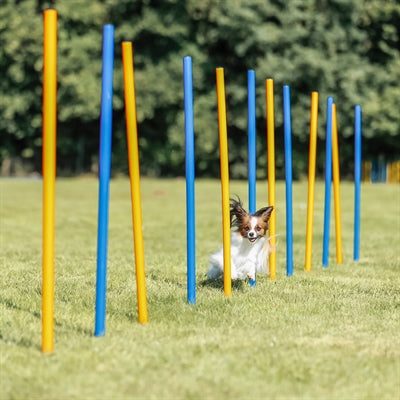 Trixie Hund Aktivität Agilität Slalom Sticks Blau / Orange