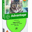 Bayer Advantage Kat