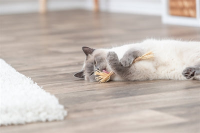 Trixie Matatabi-Stick Katzenspielzeug mit Fransen Detailansicht