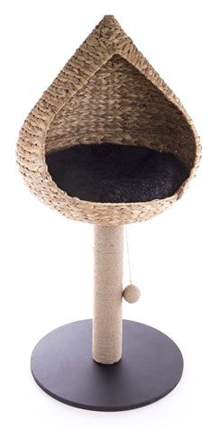 Martin Kratzbaum Vietnam mit Korb Wasserhyazinthe Naturmaterial Katze