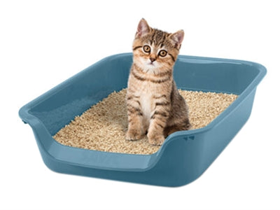 Savic Junior Katzenklo Blau