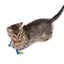 Catstages Catnip Dental Health Chew