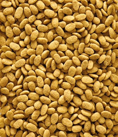NutriBird P15 Original Erhaltungsfutter – Nährstoffreiche Pellets für Papageien