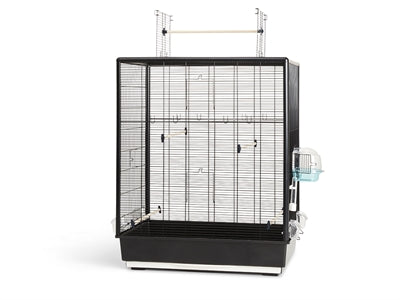 Savic Primo 60 Open Empire Schwarz – Offene Katzentoilette mit hohem Rand