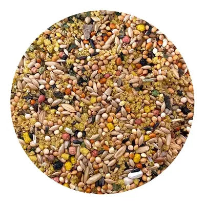 Utopia Parkieten Top Quality