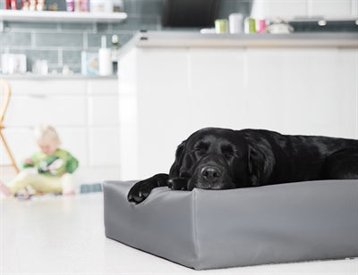 Bia Bett Kunstlederbezug Hundekorb Grau