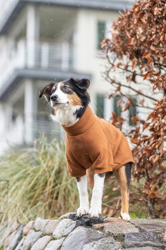 Hunde-Sweatshirt Trixie Amsterdam rost – Verpackung