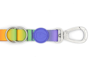 Morso verstellbare Hundeleine Frühlingsblüte Detailansicht Karabiner und Ringe