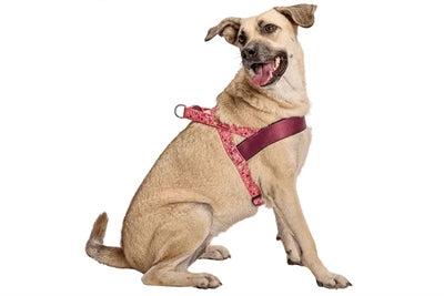 Morso Norwegisches Hundegeschirr Think Pink Rosa recycelt seitliche Ansicht angelegt