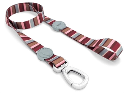 Morso Leine Skyline Rot Rosa recycelt am Hund getragen Spaziergang
