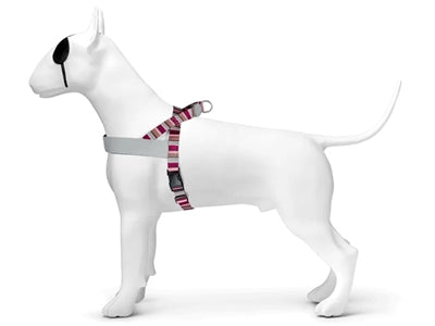 Morso Norwegisches Hundegeschirr recycelt Skyline rot rosa sicherer Halt nachhaltig