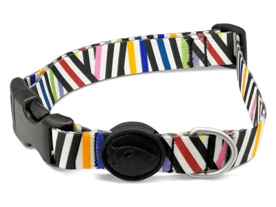 Morso Hundehalsband recycelt Spaghetti Incident farbenfrohes Halsband nachhaltig