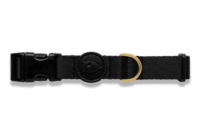 Morso Hundehalsband recycelt Gold Kaviar gold Detailansicht Schnalle – Halsband Hund nachhaltig verstellbar robust