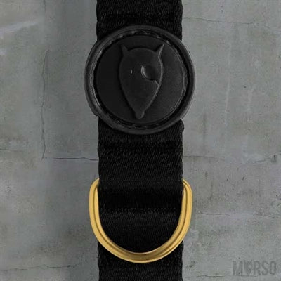 Morso Hundehalsband recycelt Gold Kaviar gold am Hund getragen – Halsband nachhaltig recyceltes Material elegant