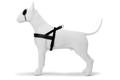 Morso norwegisches Hundegeschirr recycelt Pureness schwarz Y-Geschirr nachhaltig