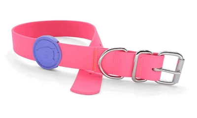 Morso wasserdichtes Hundehalsband recycelt Passion rosa nachhaltig wetterfest